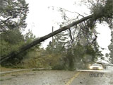 wind_storm - Burnaby Schools