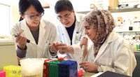 Zeynab Asadi Lari, a grade 12 student from Alpha, was one of 50 students nationally selected to participate in the “Gene Researcher For A Week” Program during Spring break. This […]