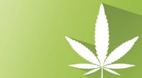 Marijuana legalization took place in Canada through the Cannabis Act on October 17, 2018. Age 19 is the provincial minimum in BC to purchase, sell, or consume cannabis. Marijuana […]