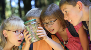 Burnaby Board of Education Public Meeting