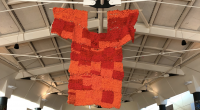 Orange Shirt Day (September 30) is one of the visible ways our District strives to highlight our shared history in Canada and honour those who attended residential schools. Every […]