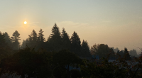 Burnaby is included in the special air quality statement issued by Environment Canada, due to concentrations of fine particulate matter caused by smoke from wildfires in BC and Washington […]